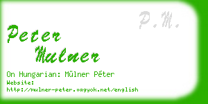 peter mulner business card